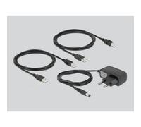 Delock - USB-Umschalter für die gemeinsame Nutzung von Peripheriegeräten - 2 x USB2.0 - wandmontierbar, oberflächenmontierbar (11492)