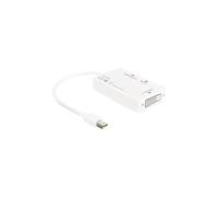 DeLOCK Video- / Audio-Adapter