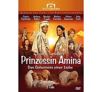 Delon,Anthony - Prinzessin Amina: das Geheimnis Einer Liebe