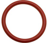 DeLonghi 5332149100 Joint pour groupe d'infusion EAM3000, ESAM6600