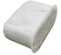 Delonghi 7313285779 Filtre à charbon
