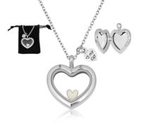 DELORIGIN Collier Commémoratif pour Animaux de Compagnie en Acier Inoxydable avec Médaillon en Verre Transparent en Forme de Cœur Idéal pour Conserver les Cendres de Votre Animal (Chat Ou Chien)