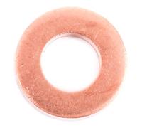 DELPHI 9001-850C Bague d'étanchéité, compartiment du gicleur