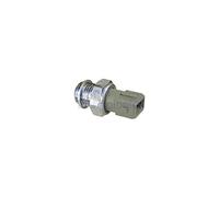 DELPHI Capteur de pression d'huile SW90021 M16x1.5 Ouverture de la clé: 22.0 Nombre de contacts enfichables: 1