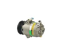 Delphi Compresseur de climatisation TSP0155132 PAG 46 pour OPEL Corsa C