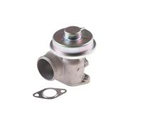 DELPHI EG10412-12B1 Vanne EGR sans radiateur-EGR Compatible avec FORD Transit Mk6 Van V347, V348, FA Transit Mk6 Camion plate-forme/Châssis V347, V348, FM, FN, FF Mondeo Mk3 Break BWY, JAGUAR