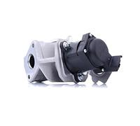 Delphi Vanne EGR EG10415-12B1 sans radiateur - Compatible FORD Fiesta Mk6/Mk5, Fusion