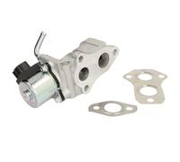 Delphi Vanne EGR EG10439-12B1