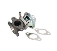 Delphi Vanne EGR EG10476-12B1 sans radiateur – compatible FIAT Ducato III/IVECO