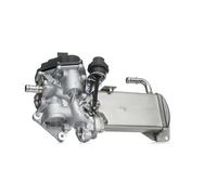 DELPHI EG10584-12B1 Vanne EGR avec radiateur-EGR Compatible avec AUDI A4 B8 Avant 8K5 Q5 8RB A6 C7 Avant 4G5, 4GD A5 B8 Coupé 8T3 A5 B8 Sportback 8TA