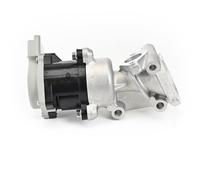 DELPHI EG10635-12B1 Vanne EGR