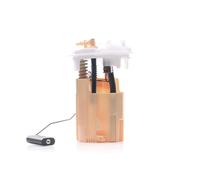 DELPHI FG1010-12B1 Unité d'injection de carburant