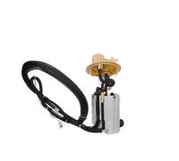 Delphi Technologies FG1252-12B1 Ensemble De Module De Pompe À Carburant
