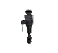 DELPHI GN10485-12B1 Bobine d'allumage Nombre de connexions12V Compatible avec OPEL Insignia A Sports Tourer G09 Antara L07 Insignia A Berline G09 Insignia A 3/5 portes G09 Astra J GTC P10, CHEVROLET