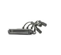 DELPHI GN10492-12B1 Bobine d'allumage pour FORD KA (RU8) pour FIAT 500 (312)