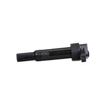 Delphi Bobine d'allumage GN10633-12B1