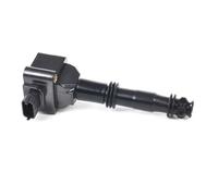 DELPHI GN10949-12B1 Bobine d'allumage