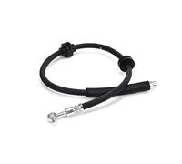DELPHI LH8019 Flexible de frein