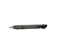 Delphi Soupape d'injection R00101DP
