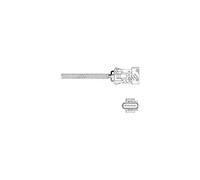 DELPHI Sonde lambda ES20258-12B1 Sonde planaire chauffé 540mm Compatible avec PEUGEOT 206 3/5 portes 2A/C 207 3/5 portes WA, WC 308 II 3/5 portes LB, LP, LW, LH, L3 308 I 3/5 portes 4A, 4C