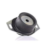 DELPHI Support moteur TEM065 links pour FIAT Scudo (270, 272_)