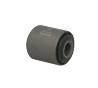 DELPHI TD231W Silent bloc de triangle