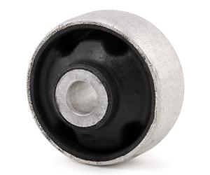 DELPHI TD287W Silent bloc de triangle
