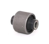 DELPHI TD667W Silent bloc de triangle