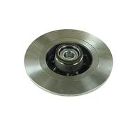 Delphi Disque de frein BG9030RS arrière plein 1 pièce