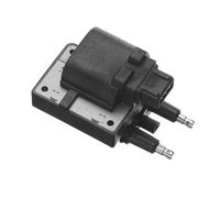 Delphi Technologies CE10021-12B1 Bobine D'Allumage