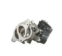 Delphi Vanne EGR EG10396-12B1