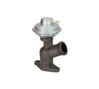 Vanne EGR DELPHI EG10423-12B1