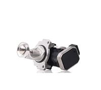 DELPHI EG10431-12B1 Vanne EGR