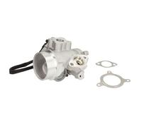 Delphi Vanne EGR EG10495