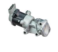Delphi Technologies EG10529-12B1 Vanne EGR