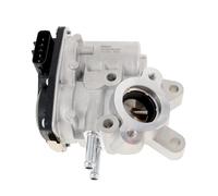 Delphi Technologies EG10536-12B1 Vanne EGR