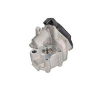 Delphi Vanne EGR EG10538-12B1