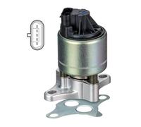 Delphi Vanne EGR EG10545-12B1