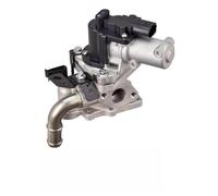 Delphi Vanne EGR EG10613-12B1