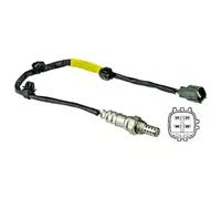 Delphi Technologies ES20530-12B1 Sonde A Oxygene