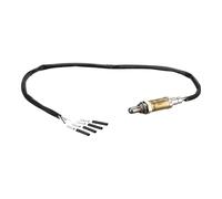 Delphi Technologies ES21105-12B1 Capteur D'Oxygène