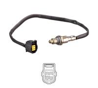 Delphi Technologies ES21202-12B1 Capteur D'Oxygène