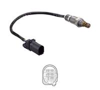 Delphi Technologies ES21252-12B1 Capteur D'Oxygène