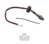 Delphi Technologies ES21319-12B1 Capteur D'Oxygène