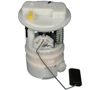 Delphi Technologies FE10052-12B1 Ensemble Reservoir Modulaire | Compatible avec: RENAULT CLIO II