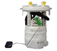 Delphi Unité d'injection de carburant FG1137-12B1