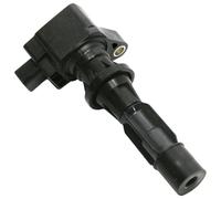 Delphi Technologies Bobine d'allumage GN10251-12B1