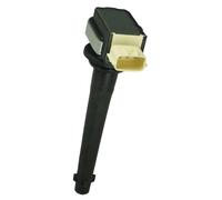 Delphi Technologies GN10376-12B1 Bobine D'Allumage