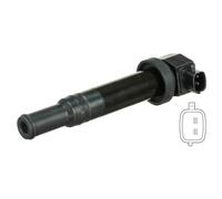 Delphi Technologies GN10569-12B1 Bobine D'Allumage