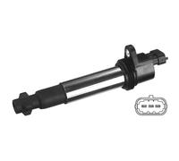 Delphi Technologies GN10570-12B1 Bobine D'Allumage